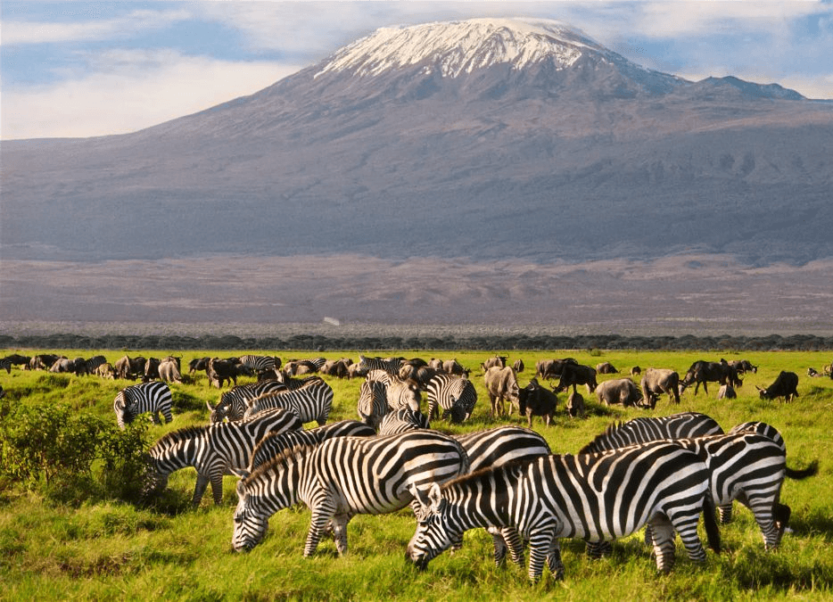 ISC volunteers in Kenya